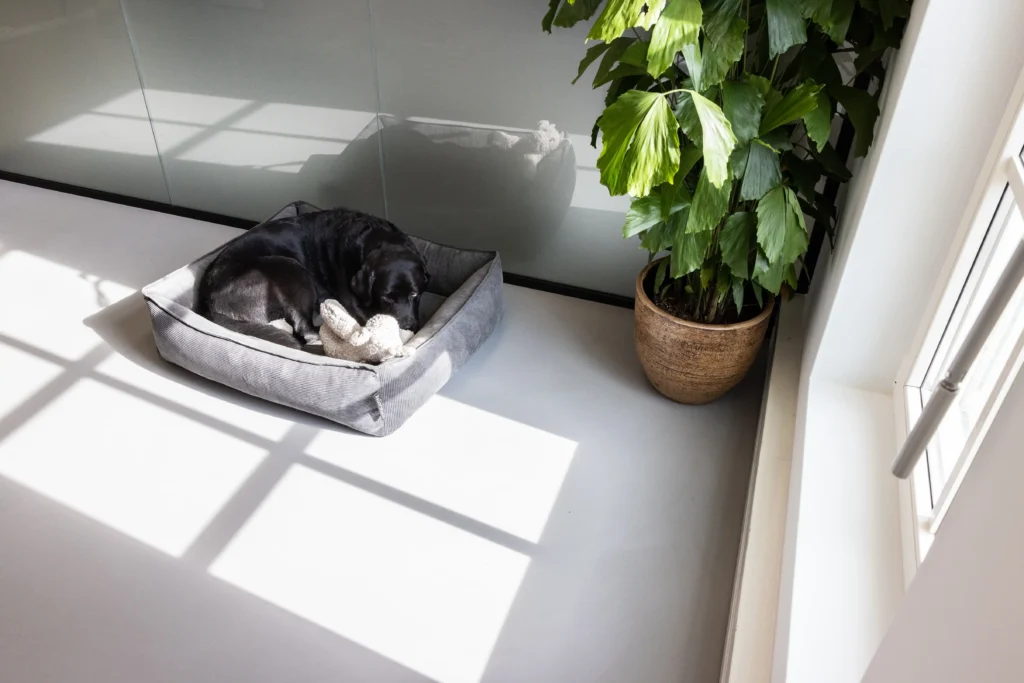 pugietvloer-bedrijfsvloer-grijs-beton-design-goulmy-fotografie (1)